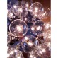 JK049 Taraxacum 88