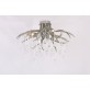 AM2111 DEER TEAR
