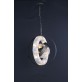 AM7407 ASTROLAB