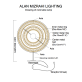 AM7409 ASTROLABE TABLE 