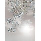AM8850 EDEN CROWN LINEAR BRANCH