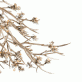 DV5623 Bloom Vivant