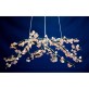DV3953 Almond