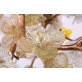 DV3953 Almond