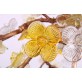 DV3953 Almond