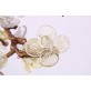 DV3953 Almond