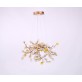 DV3953 Almond