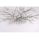 DV5089 Forest Light