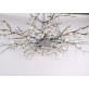 DV5089 Forest Light