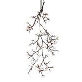 DV5620 Ascending Bloom Vivant 