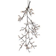 DV5620 Ascending Bloom Vivant 