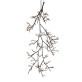 DV5620 Ascending Bloom Vivant 