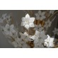IQ2064 FLOWER BOUQUET I