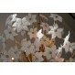 IQ2064 FLOWER BOUQUET I