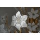 IQ2064 FLOWER BOUQUET I