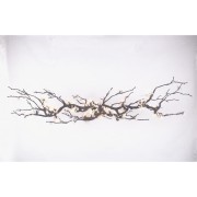 OR0761 BRANDOLINI II 