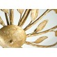 QZ1936 FOLIA  