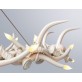 AM1801 ANTLER HALO RESIN 