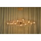 AM1819 BIJOUT CHANDELIER