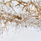 AM1819 BIJOUT CHANDELIER