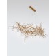AM1819 BIJOUT CHANDELIER