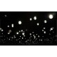 AM2009 DEW DROP LIGHT