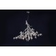 DV5623 Bloom Vivant