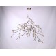 DV5623 Bloom Vivant