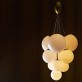 JR1978 Orchard Chandelier