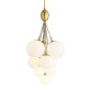 JR1978 Orchard Chandelier
