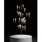 JR2022 Perch Light Tree
