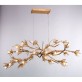OR076 BRANDOLINI  