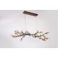OR076 BRANDOLINI  