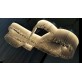 AM8800 KINGDOM TWISTED CRYSTAL