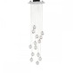 SJ2093 LIYA  