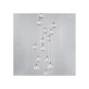 SJ2093 LIYA  