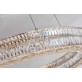 AM962996 CHAMBORD