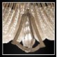 AMAJC-8824 BEADED CRYSTAL