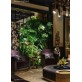 IQ21058 SIAM CEILING LAMP
