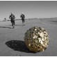 IQ2255 LEAVES BALL