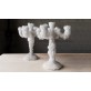 IQ2335 OVERGROWN CHANDELIER