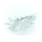 IQ2813 FLYING LEAVES
