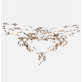 IQ2814 CONTOUR