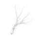 IQ2820 ANTLERS