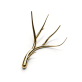 IQ2820 ANTLERS