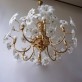 IQ2844 MURANO GLASS CHANDELIER