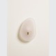 IQ3128 COQUILE SCONCE WALL LIGHT