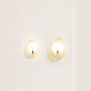 IQ3128 COQUILE SCONCE WALL LIGHT