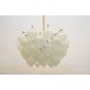 IQ3240 KALMAR TULIPAN CHANDELIER