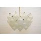IQ3240 KALMAR TULIPAN CHANDELIER